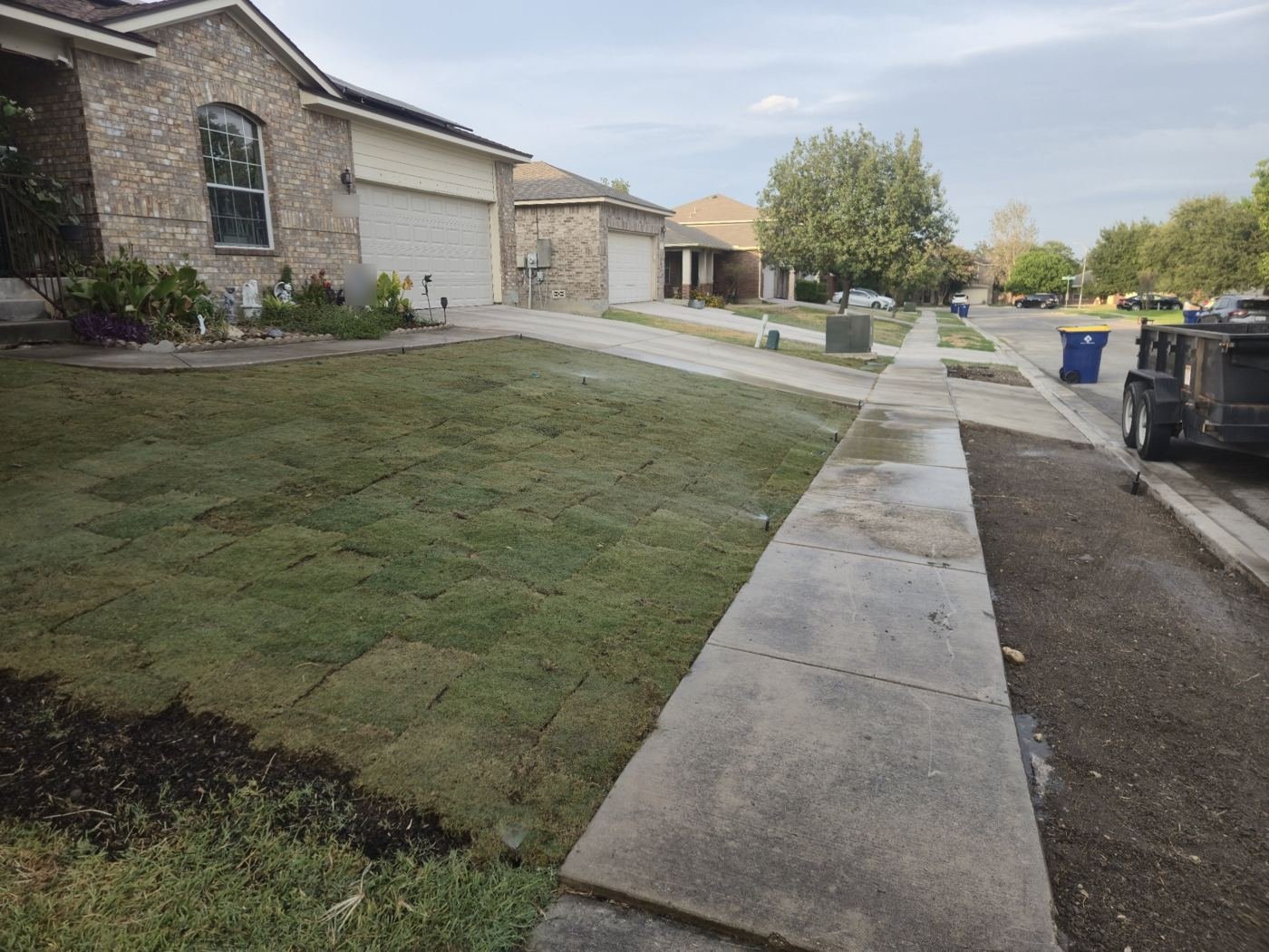 New Bermuda sod installed with sprinklers running to check coverage